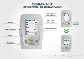 СКЭНАР-1-НТ (исполнение 01)  в Отрадном купить Нейродэнс ПКМ официальный сайт - denasdevice.ru 
